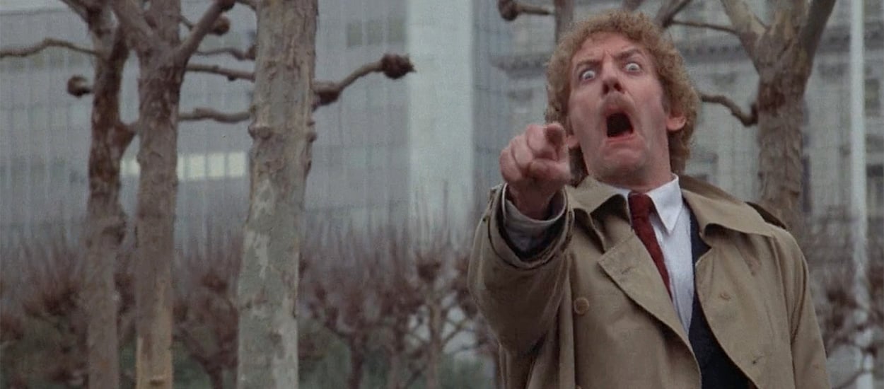 Invasion of the Body Snatchers (1978) image