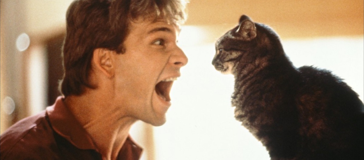 There’s Never Been Another Movie Like It image