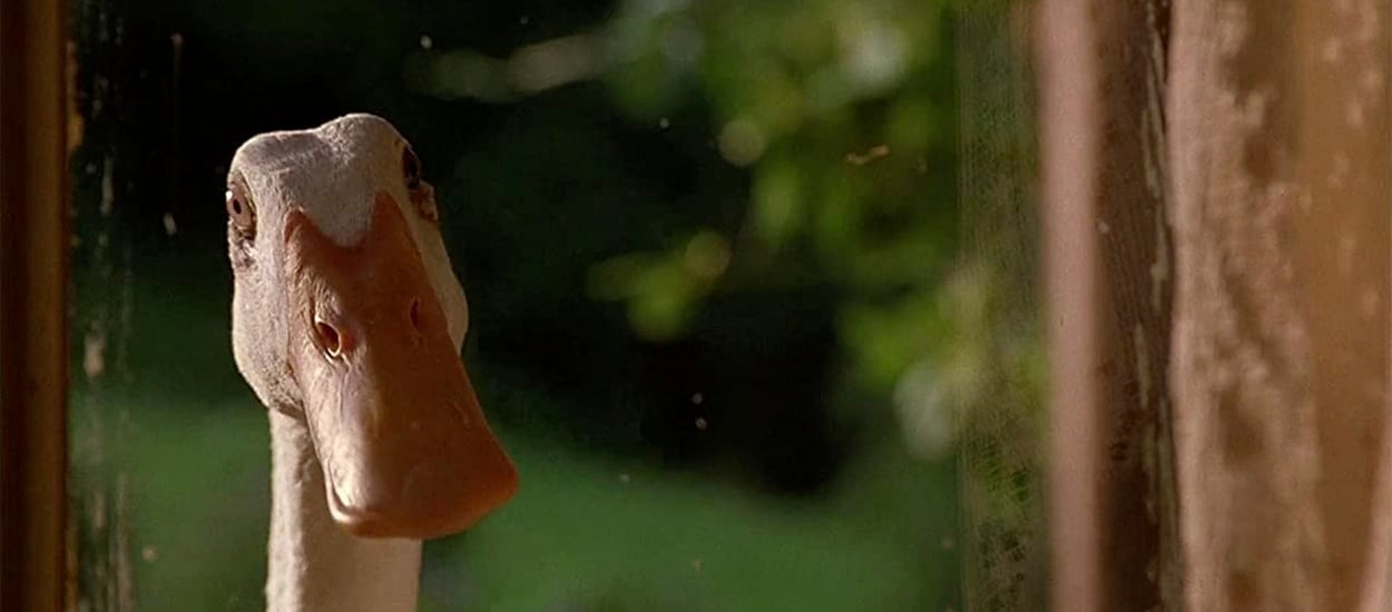 The Side Characters image