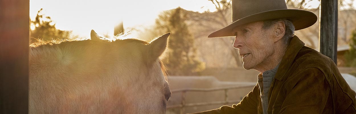 Cry Macho: Everything You Need To Know image