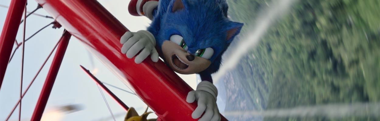 Sonic the Hedgehog 2 Character Guide image