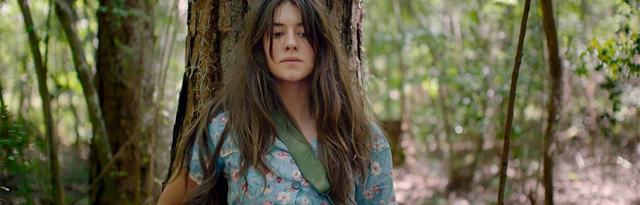 Where the Crawdads Sing: See the New Trailer image