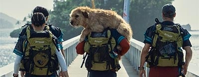Arthur the King: Mark Wahlberg's Heartwarming Dog Movie image