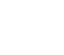 Wheelchair Accessible/Companion seat